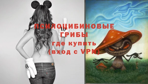 каннабис Белокуриха